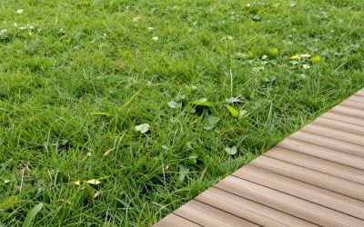 How to Get the Fried Pet Mutation in Grow a Garden